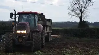Murphy Agri Fodder Beet Harvest 2018