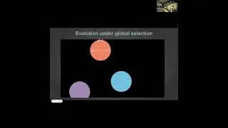 ALIFE2023: Dynamics of niche construction in adaptable populations evolving in diverse environments