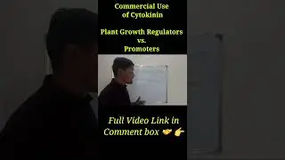 Cytokinin l Commercial Use of Cytokinin l Frequently Asked Questions #shorts #ukpsc #agriculture