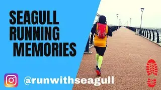 Seagull Running memories