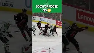 Moose gets BOOED! 🫎