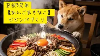 豆柴3兄弟【あんごまきなこ】ビビンバづくり・Shibainu Trio's Making Bibimbap