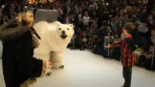 Interactive Polar Bear Show &ndash; Walkabout Animals - London