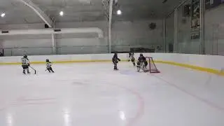 Shots looking better! #goal #score #goalie #nhl #hockey #puck #rink #skating #icehockey #jamaican 