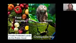 Land Conservation 101: Benefits, Basics, and Beyond
