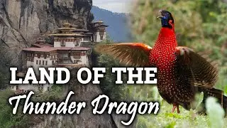 Birding in Bhutan, part 1