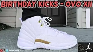 Drake x Air Jordan 12 