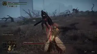 Git Gud Scrub - Ornamental Duelist vs Bell Bearing Hunter