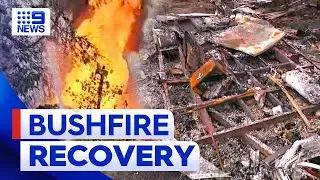Queensland bushfires: Recovery process begins after devastating fires | 9 News Australia