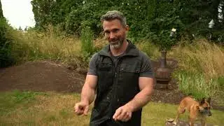 Dog Training Mastery Course Skills and Techniques for All Levels