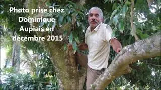 Hommage à mon ami ségatier Maximin Boyer
