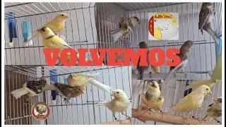 VOLVEMOS Y DAMOS LAS GRACIAS A JUÁN