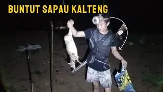 BERBURU DI BUNTUT SAPAU KALIMANTAN TENGAH 