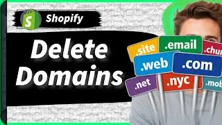 How To Delete Domains From Shopify: Remove Third-Party Domains or Transfer