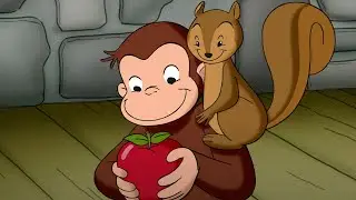 Cómo hacer sidra de Manzana | Jorge El Curioso En Español