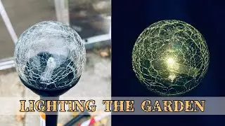 Demonstrating Affordable Solar Lights for Night Time Garden Use