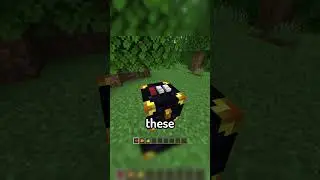Mini Mod Reviews - Ender Storage