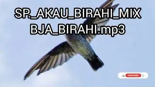 sp Akau biarahi mix bja birahi