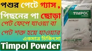 পশুর পেটে গ্যাস পিছনের পা ছোড়া পেট ফেঁপে যাওয়া বা পেট শক্ত হয়ে যাওয়ার  চিকিৎসা , Timpol Powder