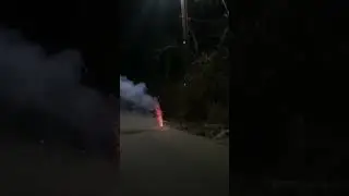 Lupo 26 Scream