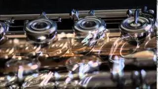 Riparazione flauto Bergamo Overhaul Powell flute Auramite 9K, tamponatura flauto
