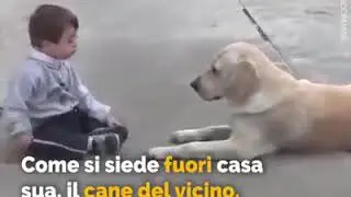 Il cane fedele di tutti