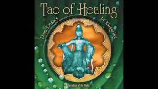 Tao of Healing - Dean Evenson & Li Xiangting