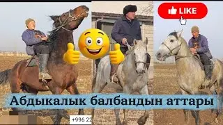 Абдыкалык балбандын аттары 2 ат сатылат
