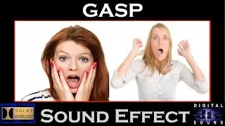 Gasp Sound Effect | GASP SFX | HI-RES AUDIO