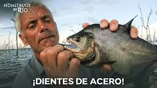Las Pirañas Más Agresivas Que Jeremy Wade Ha Encontrado | Monstruos de Río