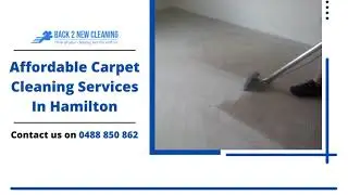 Affordable Carpet Cleaning Services In Hamilton | Carpet Steam Cleaning | Back 2 New Cleaning