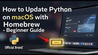 How to update Python on macOS with Homebrew - Beginner Guide