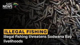Illegal fishing threatens Sodwana Bay livelihoods