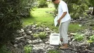 MRCU Sterile Mosquitoes