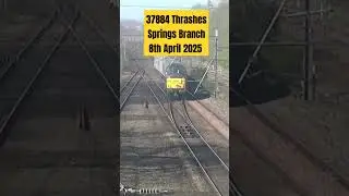 37884 Thrashes Springs Branch - 08th April 2025