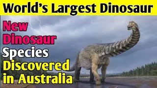 New Dinosaur Discovered 2021 | New Dinosaur | Dinosaur History | New Dinosaur Species Found