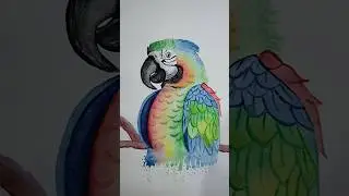 easy parrot drawing..#art #drawing #easy #cute #trending #viralshort #ytshorts #yt #amazing #parrot