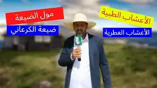 جولة داخل ضيعة الكرعاني للأعشاب الطبية والعطرية  ج1