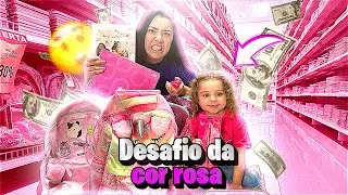 COMPREI TUDO que a DIVA ENCOSTOU NA COR ROSA na PAPELARIA