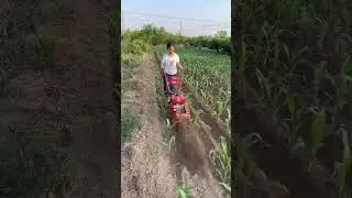 #diesel weeding and cultivating machine#gasoline tiller#plowing the ground and digging