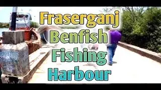 FRAZERGANJ Benfish Fishing 🐟 Harbour | Frazergunj Jetty Ghat | Freserganj Fish Auction Center
