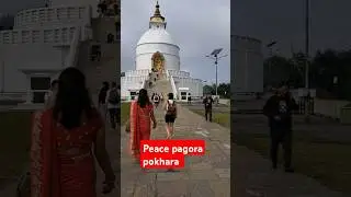 Peace pagora  pokhara #bollywood #love #music #youtubeshorts