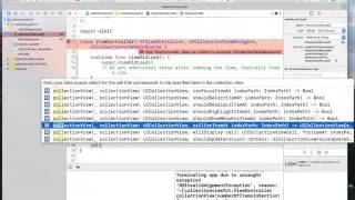 Xcode CollectionView tutorial for beginners part 1/2
