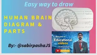 Human Brain diagram#education 
