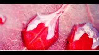 Assi Elfassi - Deep Fury (Rework)