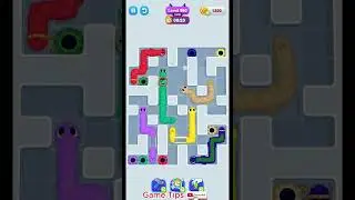 Gecko Out level 880