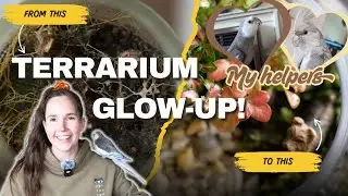 Re-Creating My Terrarium 🌿 | Easy Steps + Cockatiel “Helpers” 🐦
