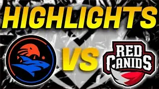 ISURUS ESTRAL VS RED CANIDS HIGHLIGHTS - LEAGUE OF LEGENDS - LTA SUR SPLIT 2 - JORNADA 6
