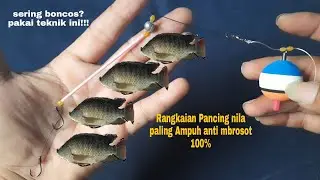 Rangkaian Pancing nila -umpan lumut cepat strike anti mocel 100% -teknik dasaran pakai pelampung