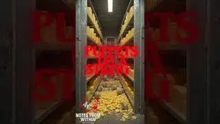 🔊 Rat Parade - NotesFromWithinOfficial | Официальное аудио 🔊 #музыка #2025 #короткометражки